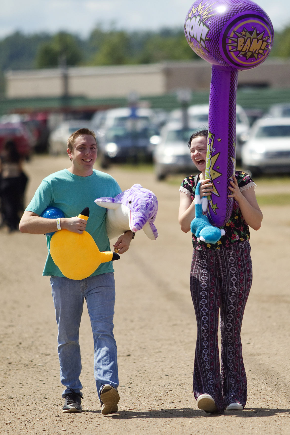 NORTHWESTERN MICHIGAN FAIR